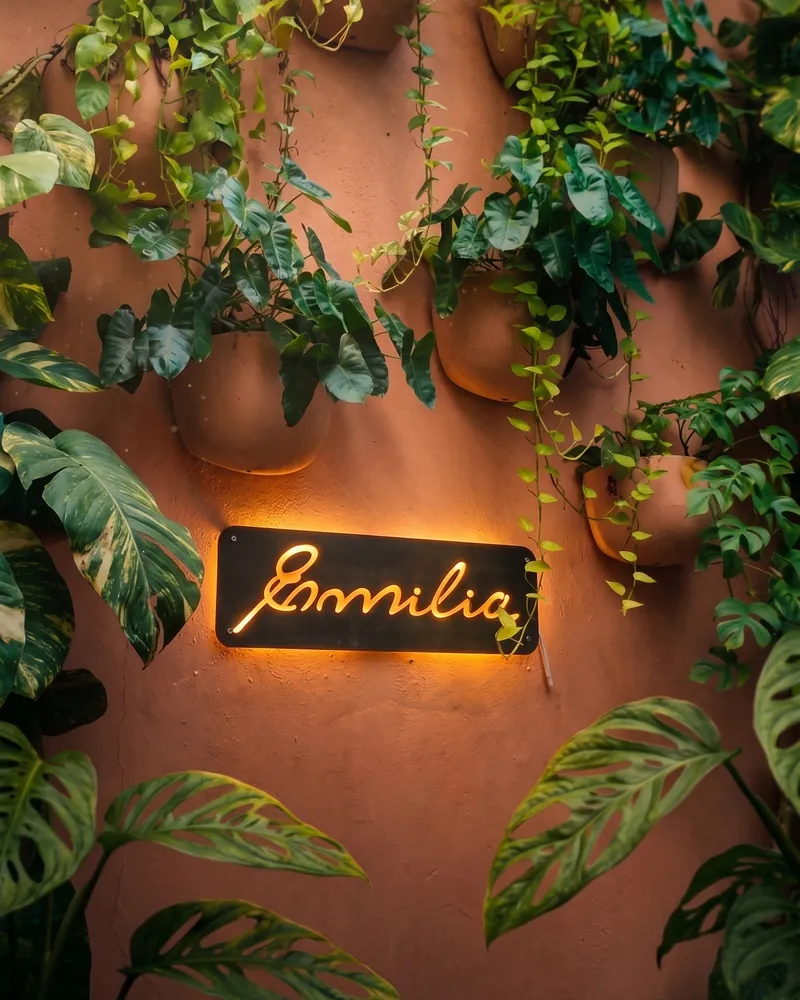 Jardín tropical interno de Emilia Cocina
